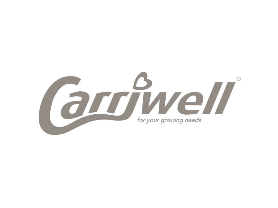 Carrjwell