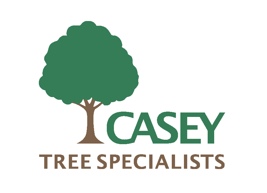 Casey Tree Specialists