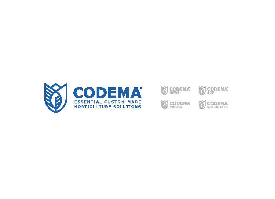 Codema Systems Group