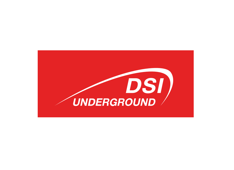 Download DSI Underground Logo PNG and Vector (PDF, SVG, Ai, EPS) Free