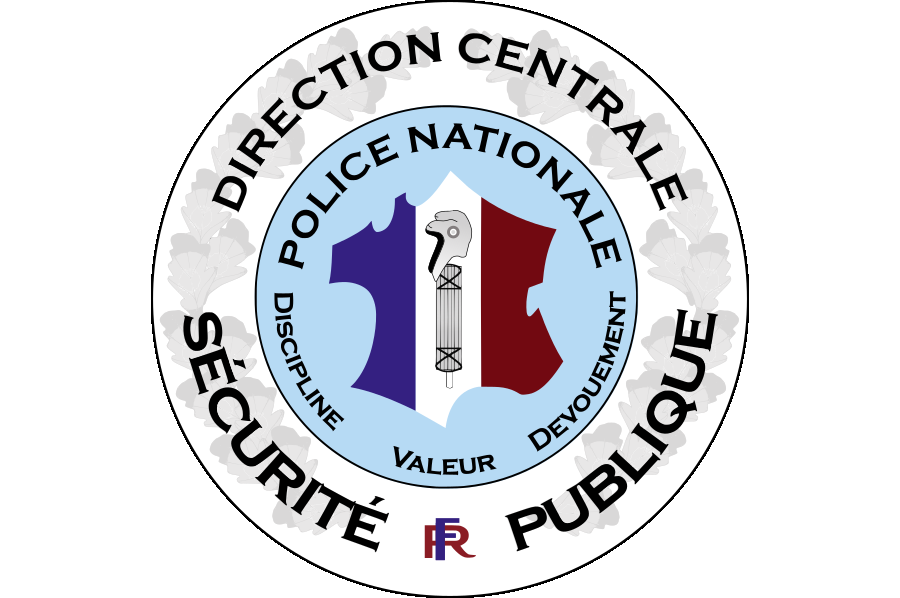 Direction Centrale De La Sécurité Publique Dcsp