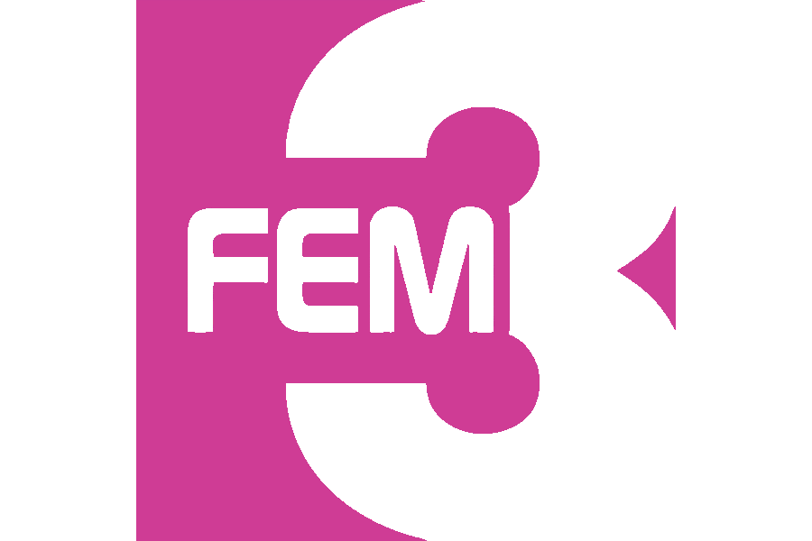 FEM3 New