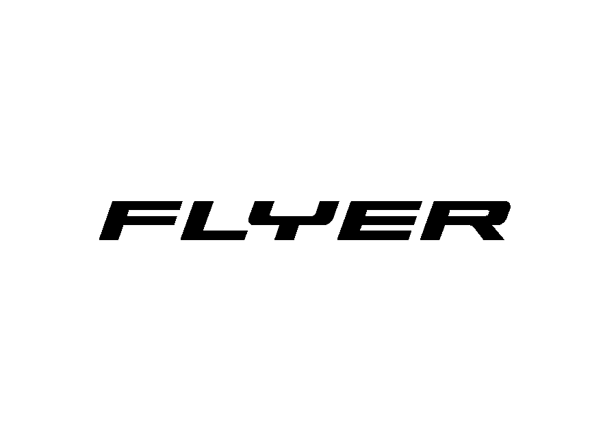 FLYER AG