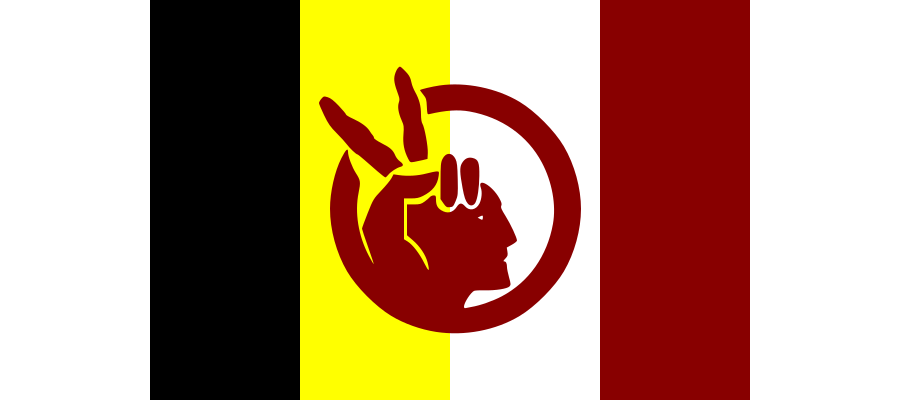 Flag of the American Indian Movement