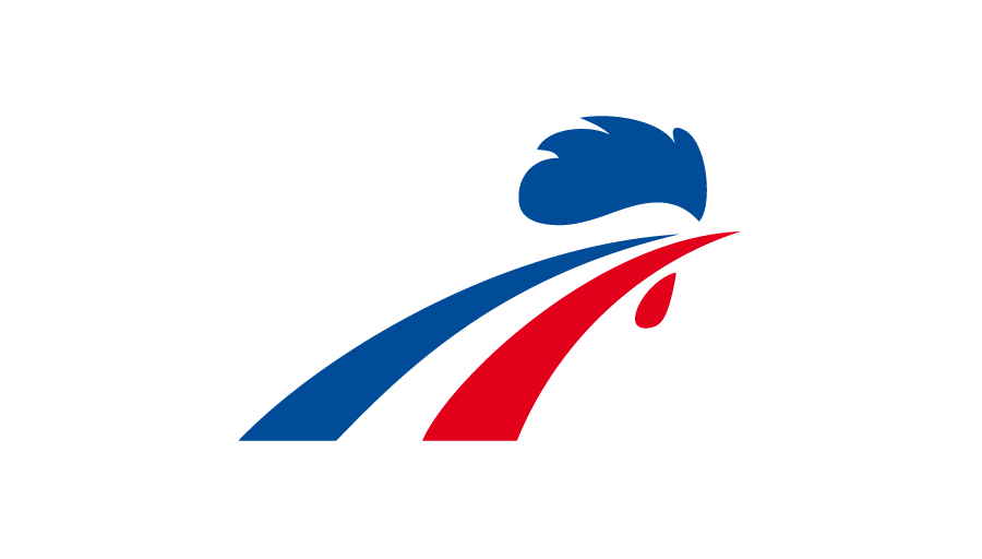 France National Ice Hockey Team