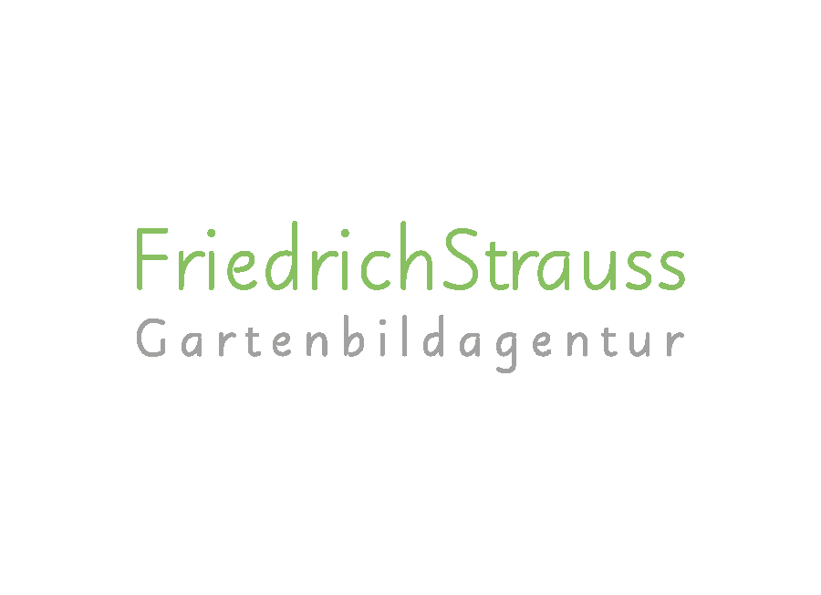 Friedrich Strauss