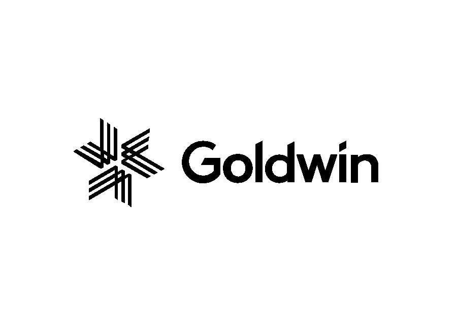 Download Goldwin Logo Png And Vector Pdf Svg Ai Eps Free