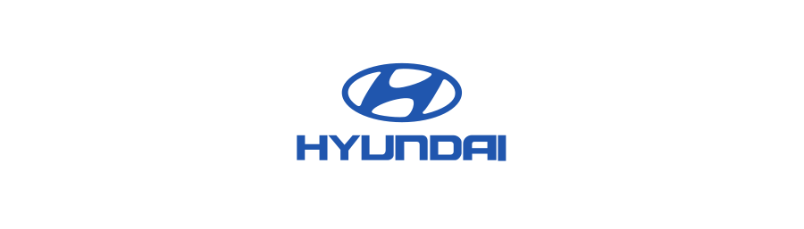 Hyundai Motor Company(231)