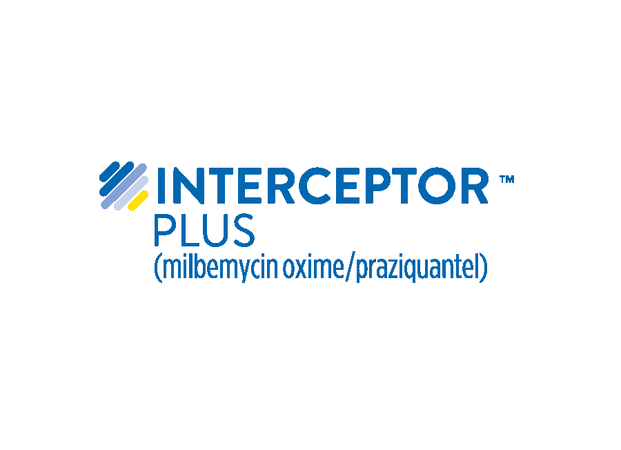 Interceptor Plus
