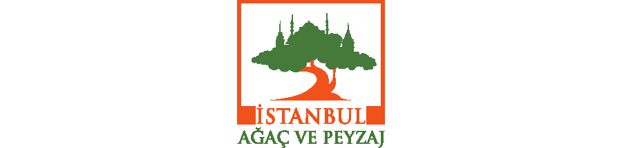 İstanbul Ağaç ve Peyzaj