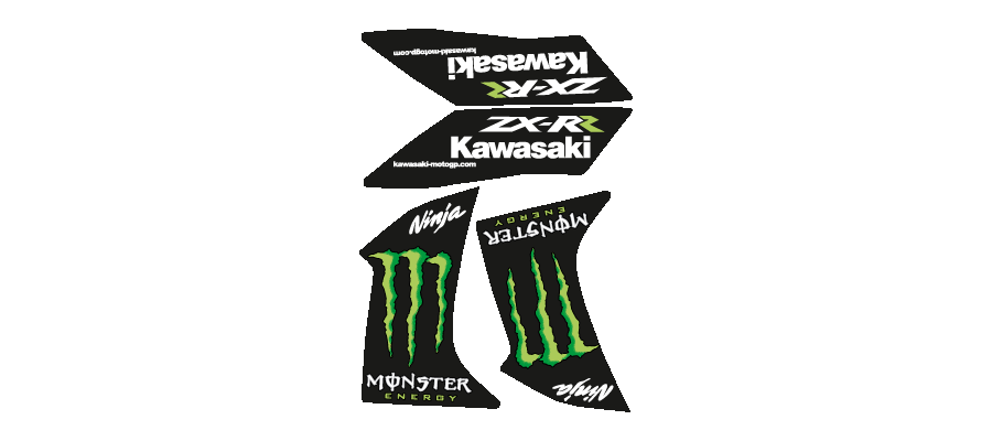 Kawasaki Ninja Monster ZX-RR