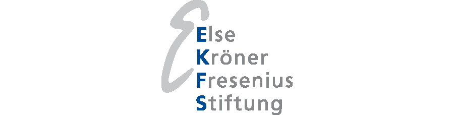 Kroener Fresenius Stiftung