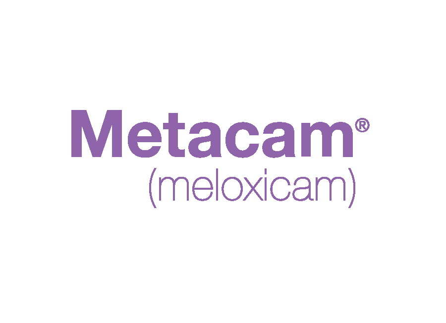 Metacam (meloxicam)