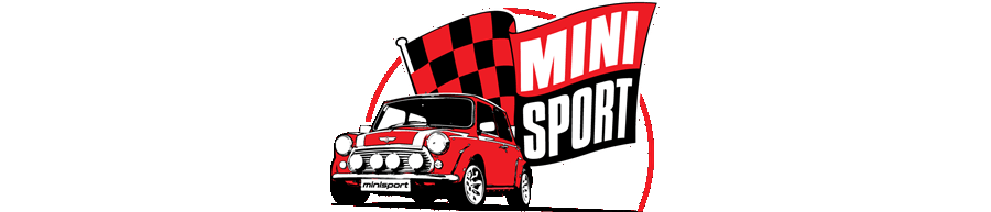 Mini Sport Ltd