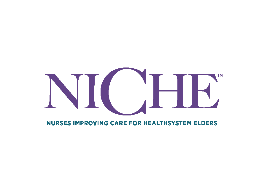 Nurses Improving Care for Healthsystem Elders