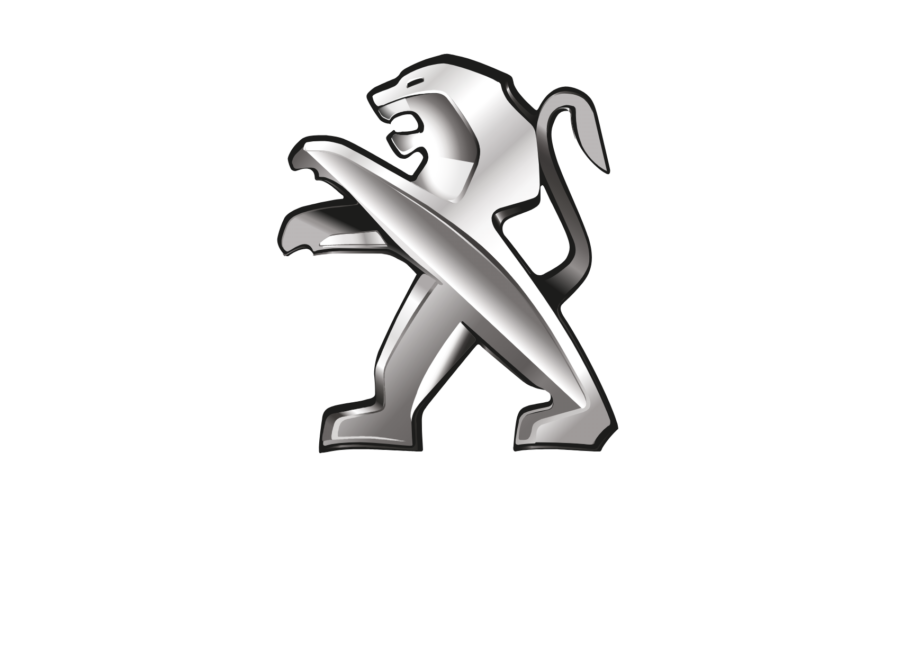Peugeot lion old