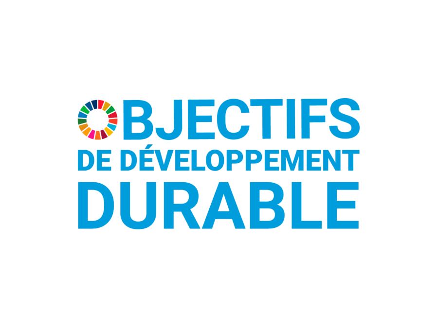 Sustainable Development Goals French