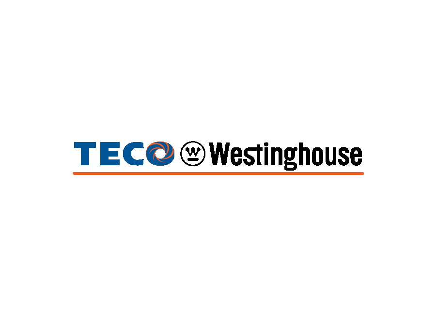 TECO-Westinghouse
