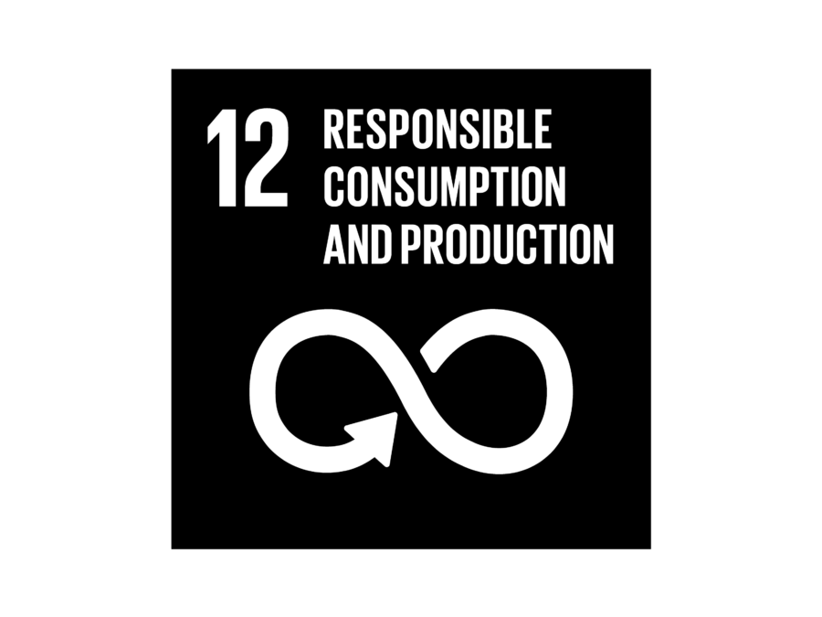 The Global Goals Responsible Consumption and Production