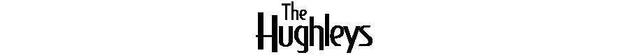 The Hughleys Tv Series