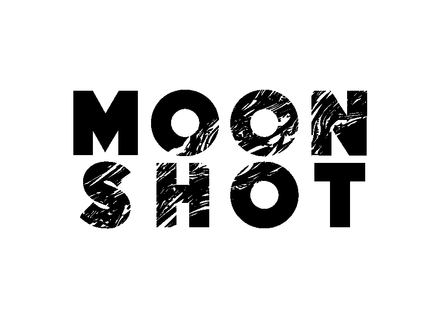 The Moonshot Company