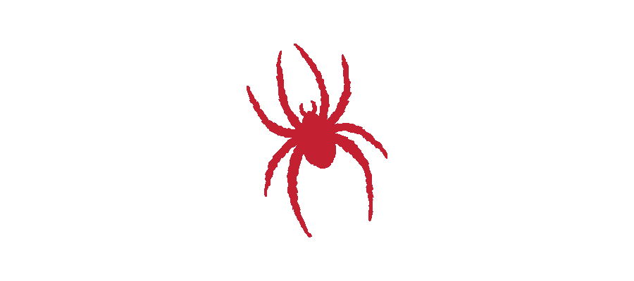 The Richmond Spiders