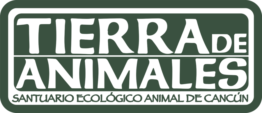 Tierra De Animales