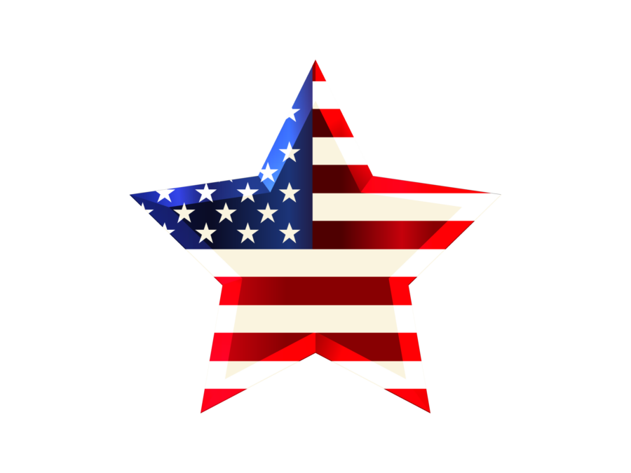 Premium Vector | Strong hand fist with american us usa star flag logo  design vector