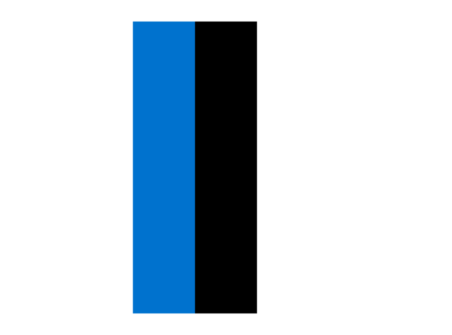 Vertical Flag Of Estonia