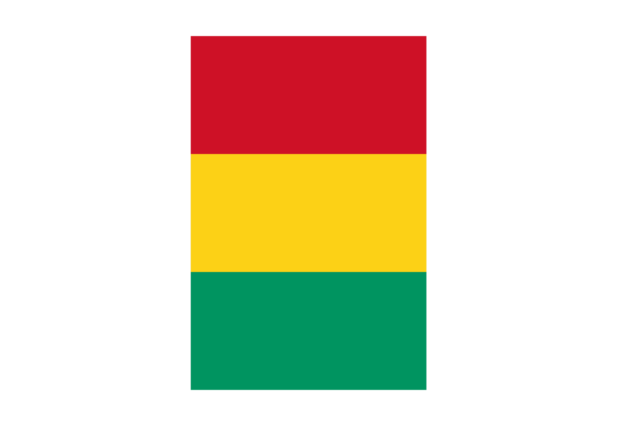 Vertical Flag Of Guinea