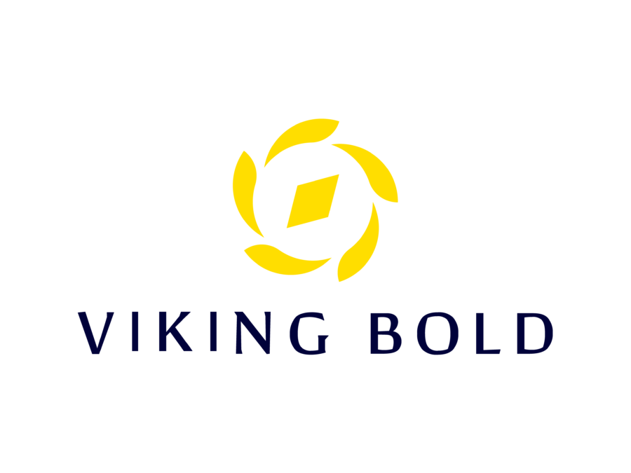 Viking Bold