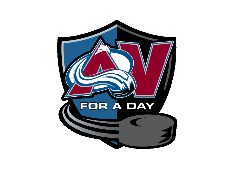 Avalanche for a Day