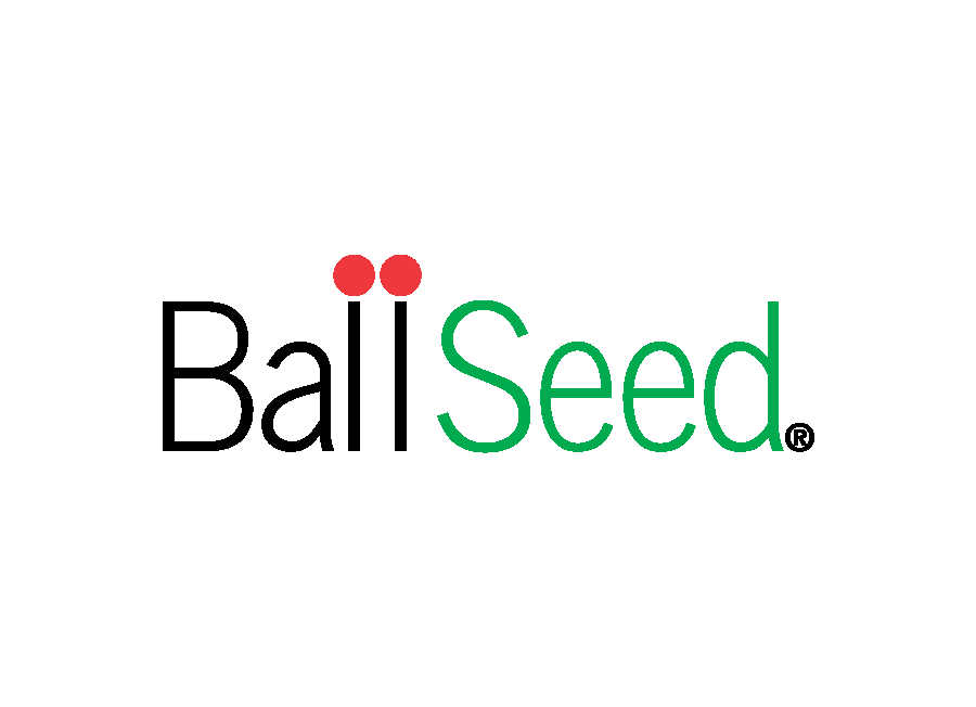 Ball Seed