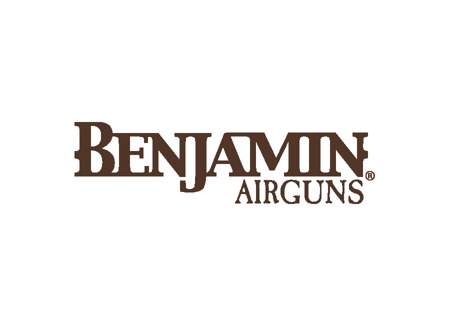 Benjamin air guns