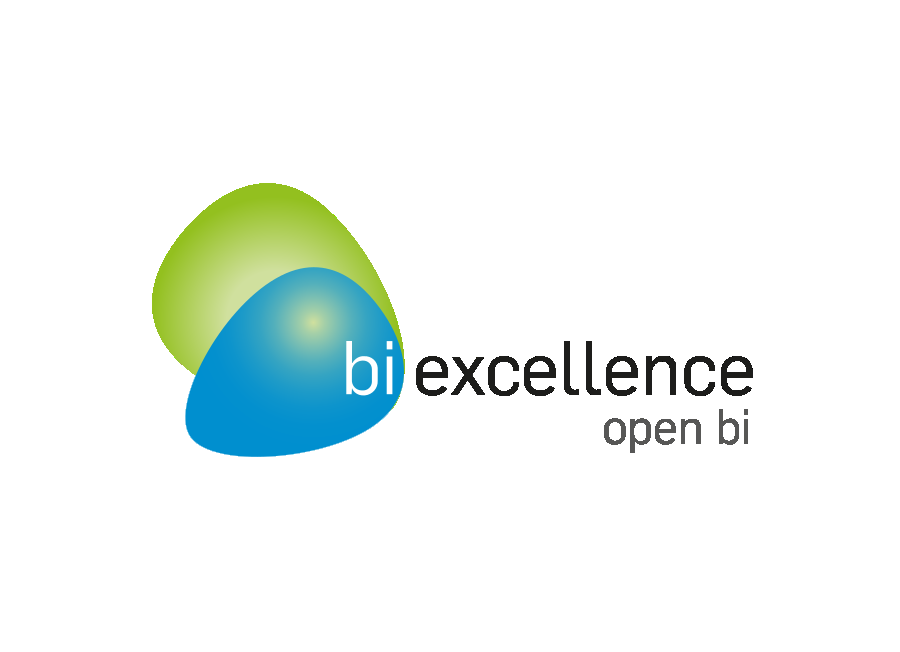bi excellence