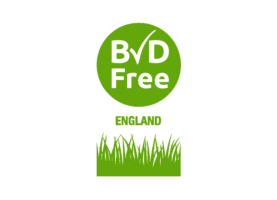  BVDFree England