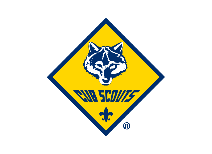  Cub Scouts