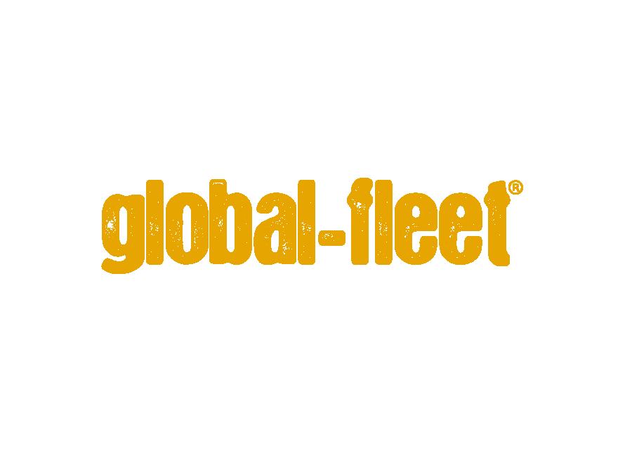  Global Fleet