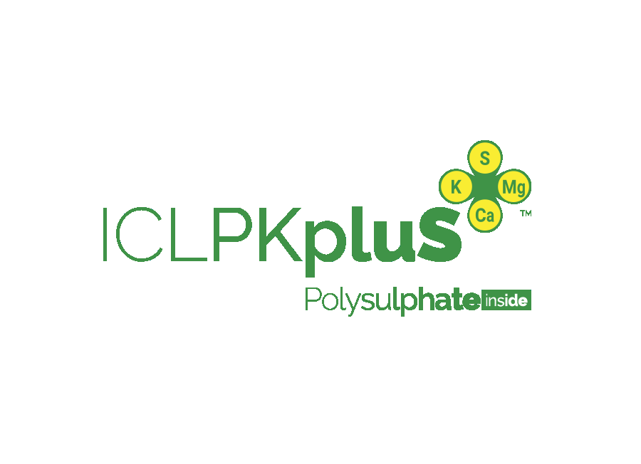 ICL PKpluS