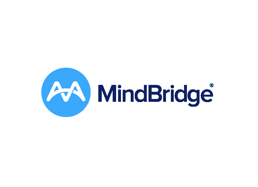 MindBridge Analytics