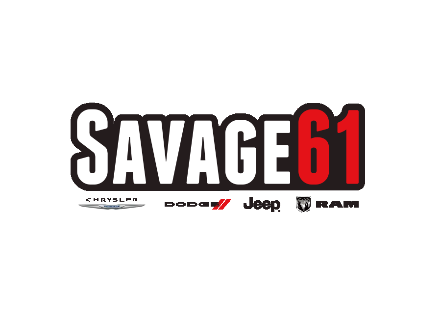 Savage 61
