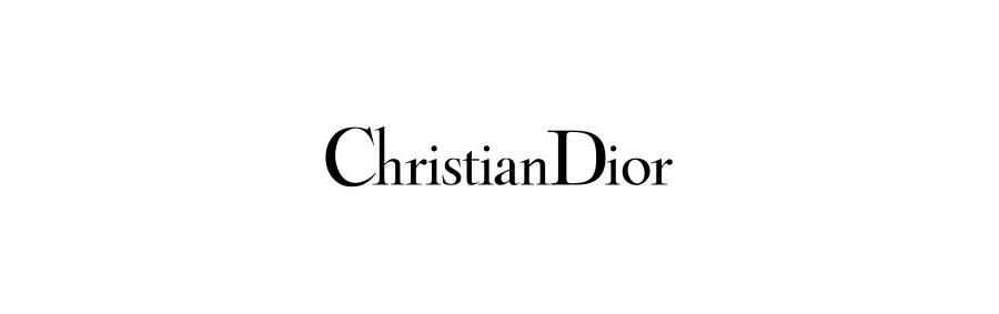 Christian Dior Logo  LogoDix