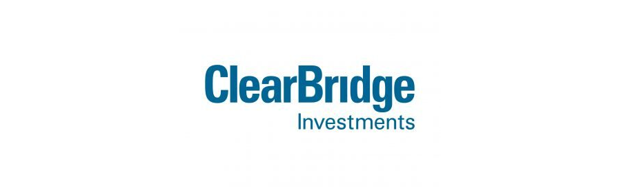Clear bridge investment
