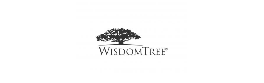 Wisdomtree investment
