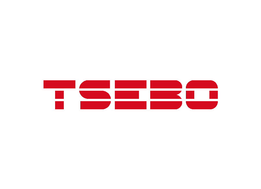 Tsebo Solutions Group