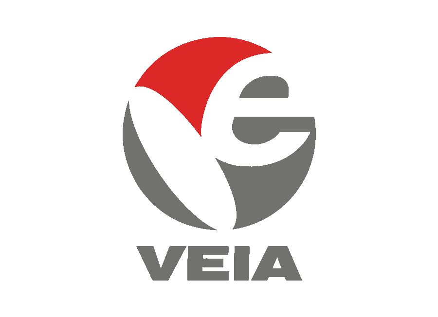 Vietnam Electronic Industries Association