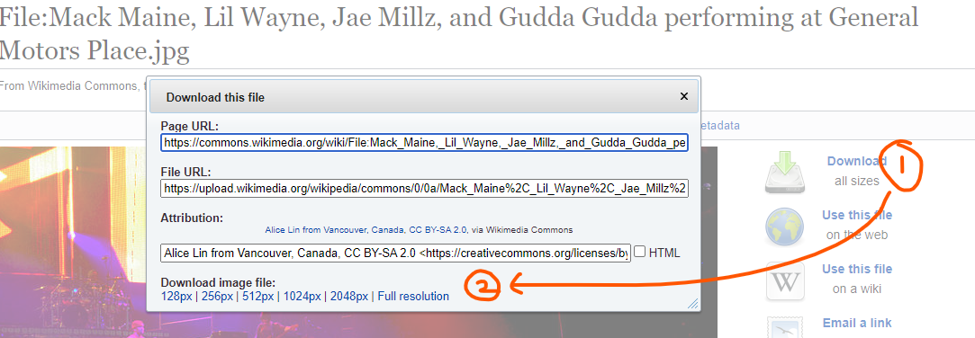 How to Download on Wikimedia Commons